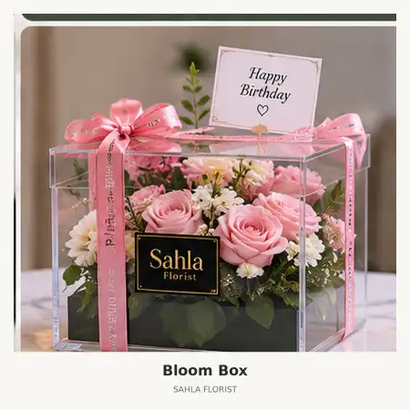 Bloom Box Buol